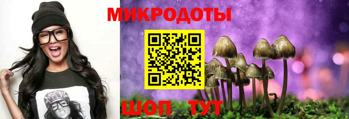 Псилоцибиновые грибы GOLDEN TEACHER Дальнегорск