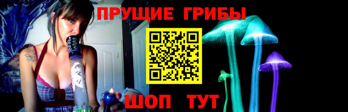 где найти   Псилоцибиновые грибы мицелий  Вход с VPN  Дальнегорск  Псилоцибиновые грибы Cubensis 
